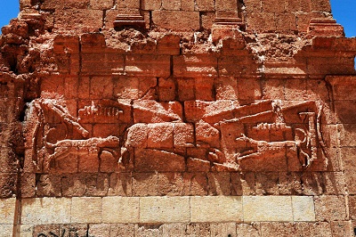 النقوش على القاموع (بعدسة كامل جابر)